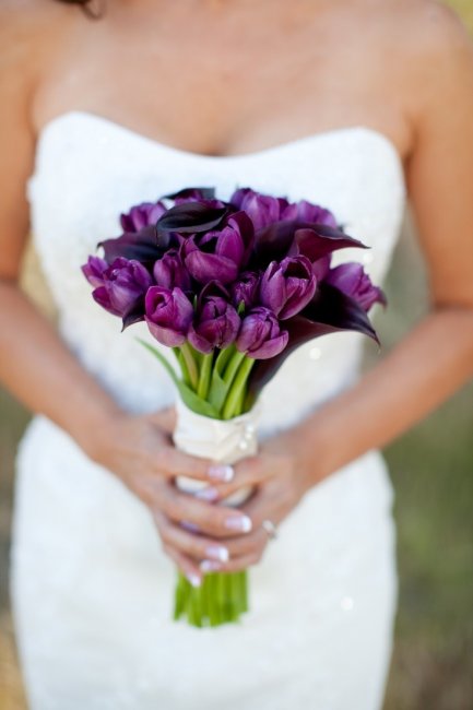 Букет из фиолетовых тюльпанов и темных калл