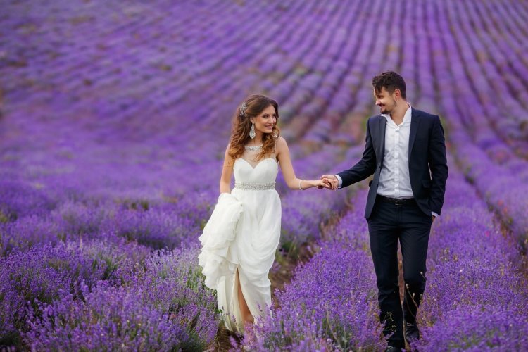 Свадьба во Франции на лавандовом поле